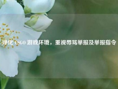 净化 CSGO 游戏环境，重视辱骂举报及举报指令