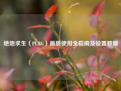 绝地求生（PUBG）画质使用全指南及设置教程