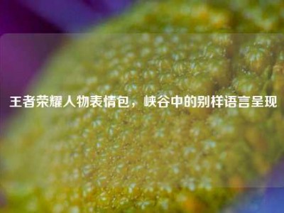 王者荣耀人物表情包，峡谷中的别样语言呈现