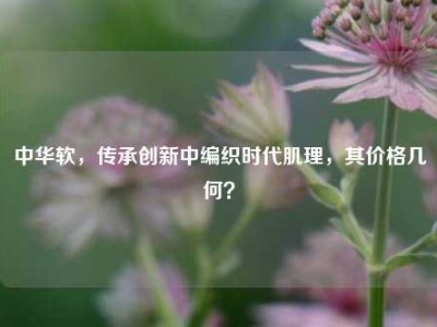 中华软，传承创新中编织时代肌理，其价格几何？