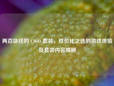 两百块钱的 CSGO 套装，性价比之选的游戏体验及套装内容揭秘