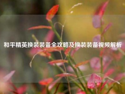 和平精英换装装备全攻略及换装装备视频解析