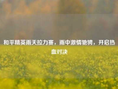 和平精英雨天拉力赛，雨中激情驰骋，开启热血对决