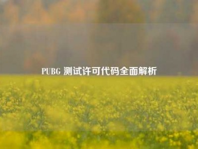 PUBG 测试许可代码全面解析