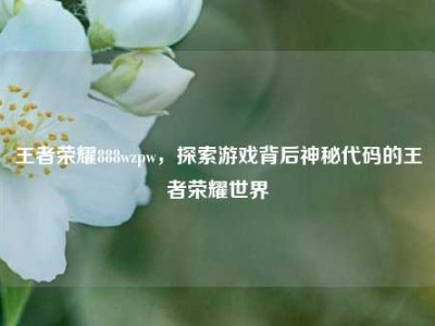 王者荣耀888wzpw，探索游戏背后神秘代码的王者荣耀世界