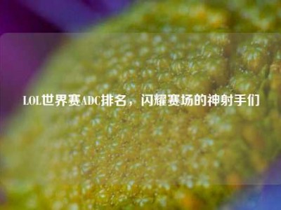 LOL世界赛ADC排名，闪耀赛场的神射手们