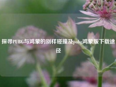 探寻PUBG与鸿蒙的别样碰撞及pubg鸿蒙版下载途径