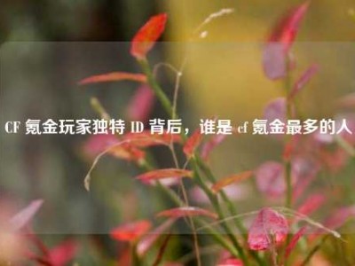 CF 氪金玩家独特 ID 背后，谁是 cf 氪金最多的人