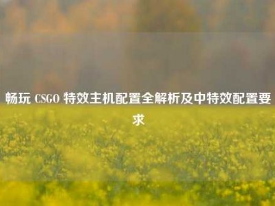 畅玩 CSGO 特效主机配置全解析及中特效配置要求