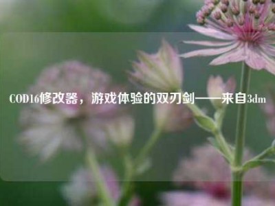 COD16修改器，游戏体验的双刃剑——来自3dm