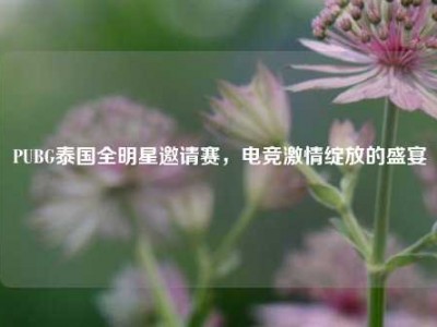 PUBG泰国全明星邀请赛，电竞激情绽放的盛宴