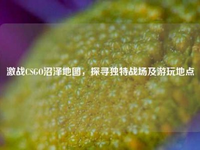 激战CSGO沼泽地图，探寻独特战场及游玩地点