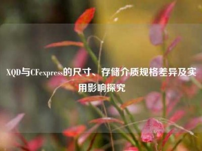 XQD与CFexpress的尺寸、存储介质规格差异及实用影响探究