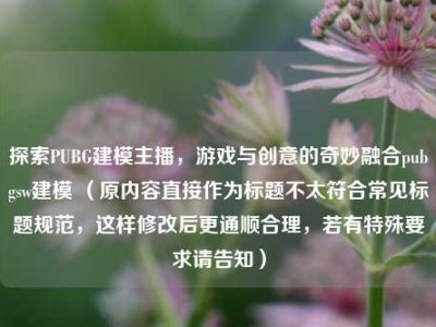 探索PUBG建模主播，游戏与创意的奇妙融合pubgsw建模 （原内容直接作为标题不太符合常见标题规范，这样修改后更通顺合理，若有特殊要求请告知）