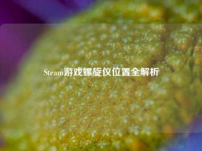 Steam游戏螺旋仪位置全解析