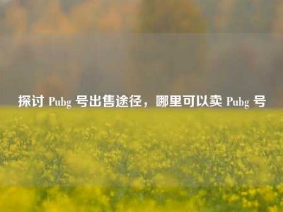 探讨 Pubg 号出售途径，哪里可以卖 Pubg 号