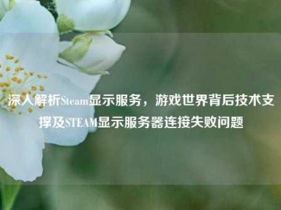 深入解析Steam显示服务，游戏世界背后技术支撑及STEAM显示服务器连接失败问题