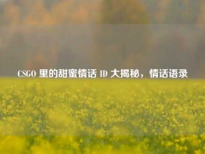 CSGO 里的甜蜜情话 ID 大揭秘，情话语录