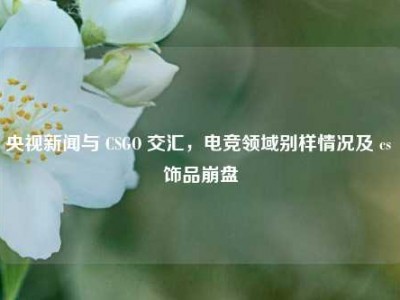 央视新闻与 CSGO 交汇，电竞领域别样情况及 cs 饰品崩盘