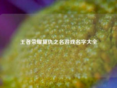 王者荣耀复仇之名游戏名字大全
