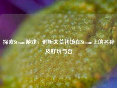 探索Steam游戏，剖析太荒初境在Steam上的名称及好玩与否
