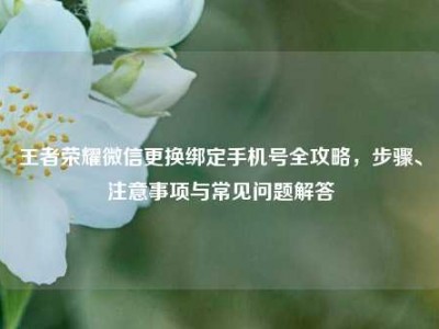 王者荣耀微信更换绑定手机号全攻略，步骤、注意事项与常见问题解答