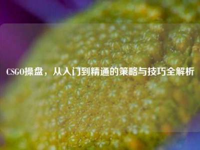 CSGO操盘，从入门到精通的策略与技巧全解析