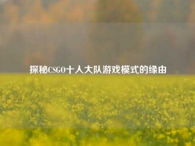 探秘CSGO十人大队游戏模式的缘由