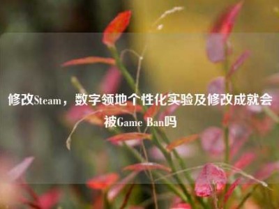 修改Steam，数字领地个性化实验及修改成就会被Game Ban吗