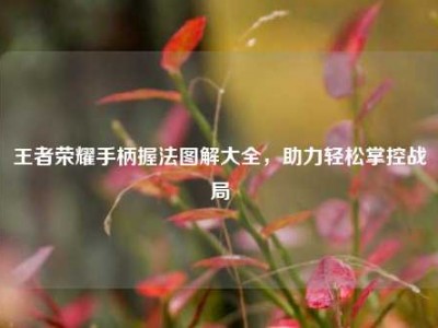 王者荣耀手柄握法图解大全，助力轻松掌控战局