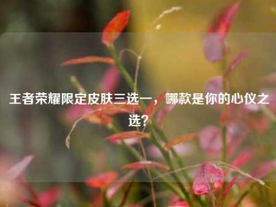 王者荣耀限定皮肤三选一，哪款是你的心仪之选？
