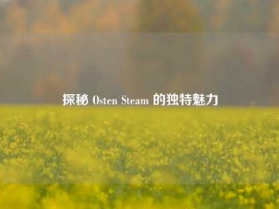 探秘 Osten Steam 的独特魅力