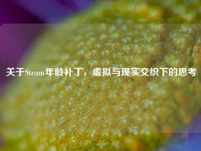 关于Steam年龄补丁，虚拟与现实交织下的思考