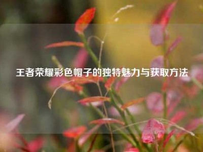 王者荣耀彩色帽子的独特魅力与获取方法