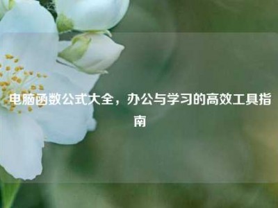 电脑函数公式大全，办公与学习的高效工具指南