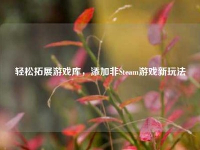 轻松拓展游戏库，添加非Steam游戏新玩法