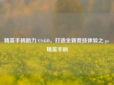 精英手柄助力 CS:GO，打造全新竞技体验之 ps 精英手柄