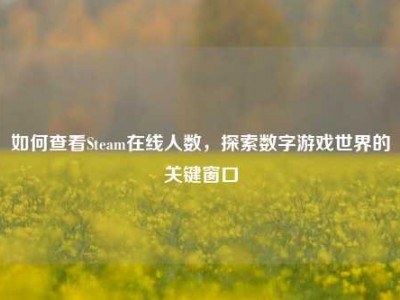 如何查看Steam在线人数，探索数字游戏世界的关键窗口