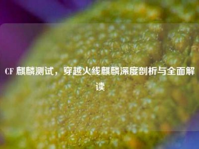 CF 麒麟测试，穿越火线麒麟深度剖析与全面解读