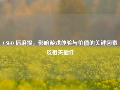 CSGO 插磨损，影响游戏体验与价值的关键因素及相关插件