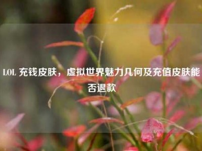 LOL 充钱皮肤，虚拟世界魅力几何及充值皮肤能否退款