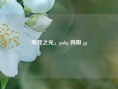 电竞之光，pubg 向阳 gg