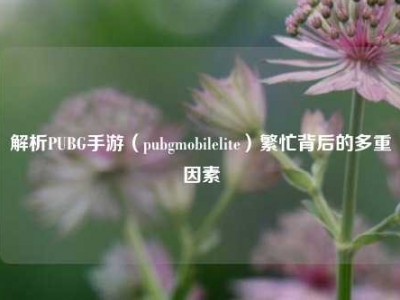 解析PUBG手游（pubgmobilelite）繁忙背后的多重因素