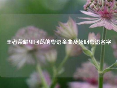 王者荣耀里回荡的粤语金曲及超叼粤语名字