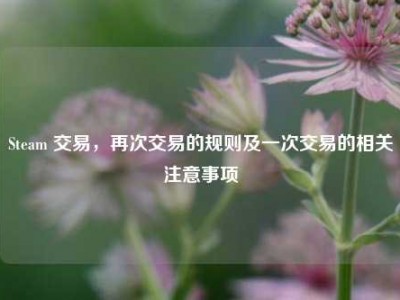Steam 交易，再次交易的规则及一次交易的相关注意事项