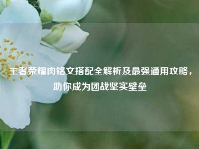 王者荣耀肉铭文搭配全解析及最强通用攻略，助你成为团战坚实壁垒