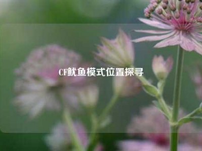 CF鱿鱼模式位置探寻