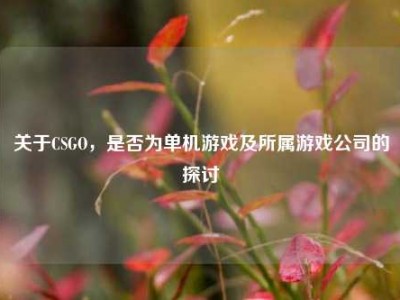 关于CSGO，是否为单机游戏及所属游戏公司的探讨