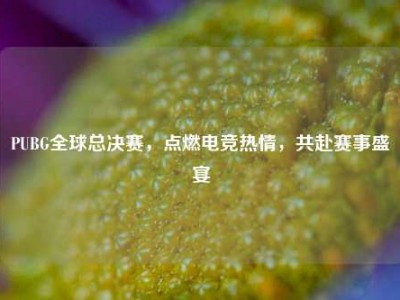 PUBG全球总决赛，点燃电竞热情，共赴赛事盛宴