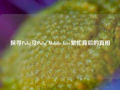 探寻Pubg及Pubg Mobile Lite繁忙背后的真相